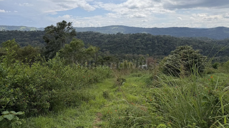 ₹1.50 Cr | 1.07 acres land for sale in rajakumary munnar