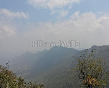 25 acres  coffee estate with farm house for sale  in narthencedu yercaud