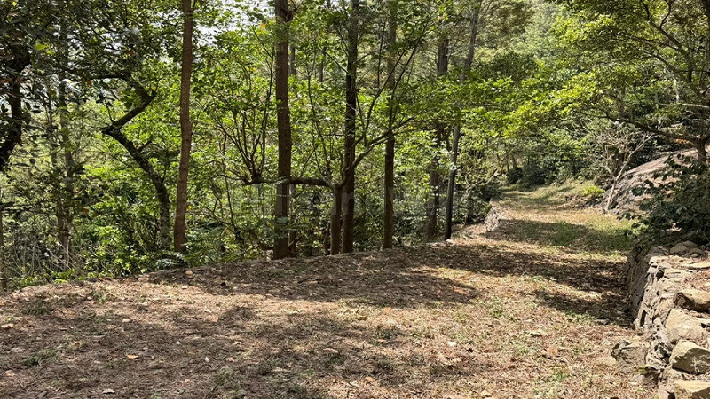₹30 Cr | 25 acres coffee estate with farm house for sale in narthencedu yercaud