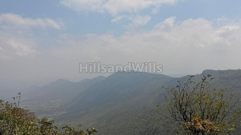 ₹30 Cr | 25 acres coffee estate with farm house for sale in narthencedu yercaud