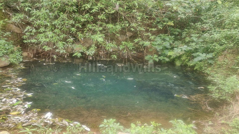 ₹30 Cr | 25 acres coffee estate with farm house for sale in narthencedu yercaud