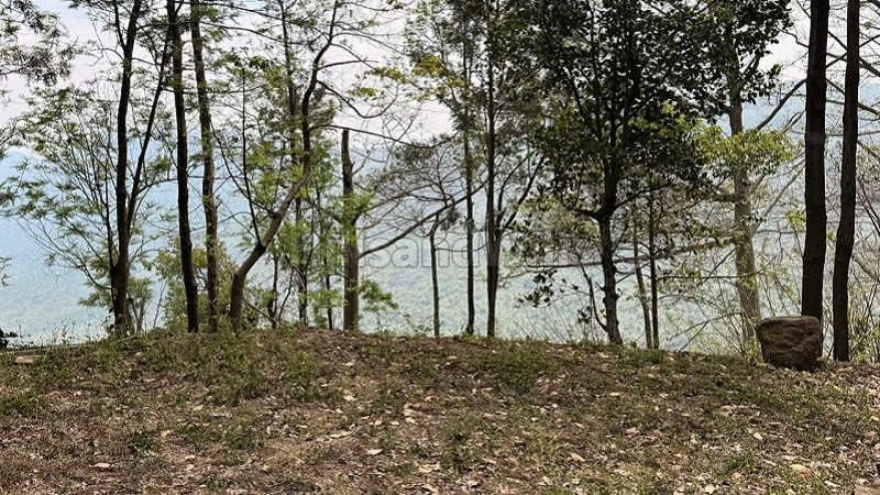 ₹30 Cr | 25 acres coffee estate with farm house for sale in narthencedu yercaud