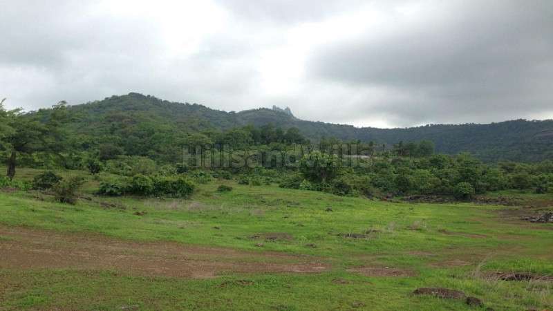 ₹29 Cr&nbsp;|&nbsp;18.25 acres agriculture land for sale  in chowk 